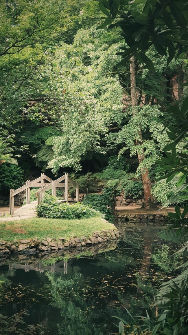 fiona-smallwood-rA2t29hZj1s-unsplash
