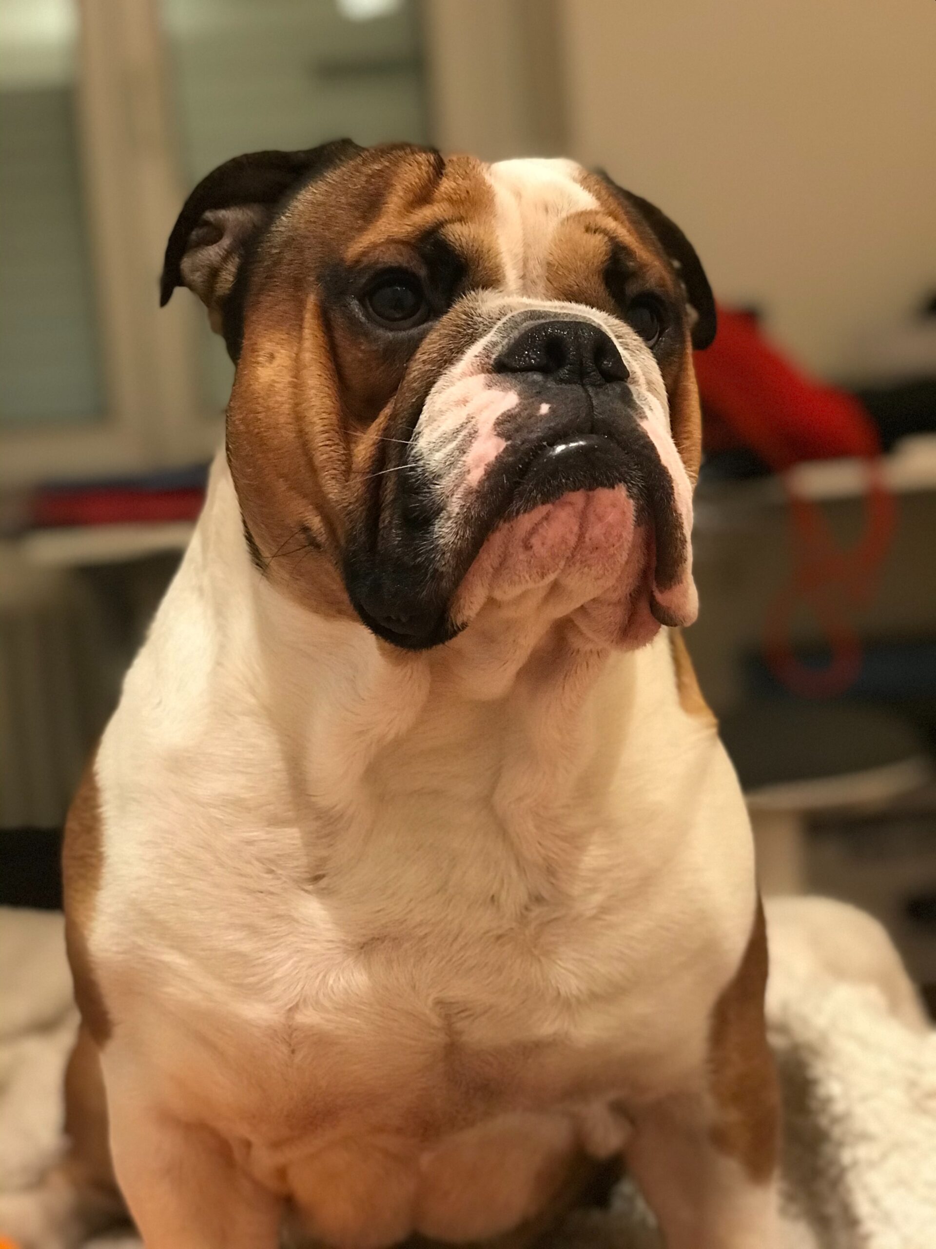filippo-taioli-6kVGGzSHWKM-unsplash