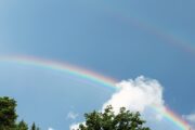 Double Rainbows – Sexual Orientation, Gender Identity, and Neurodiversity