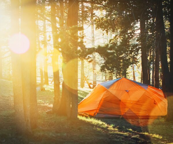 How to choose the best campsite
