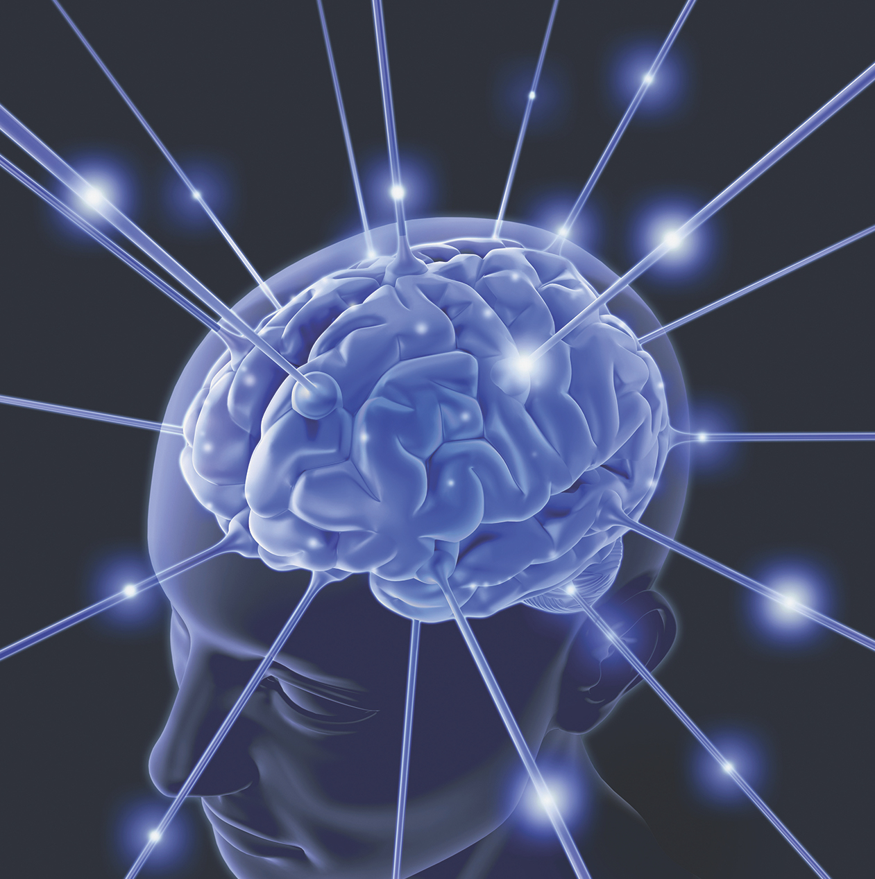 The Functions Of Different Parts Of The Brain Inclusion Festival Magazine